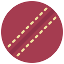 cricket-ball