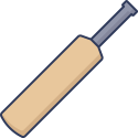 cricket-bat